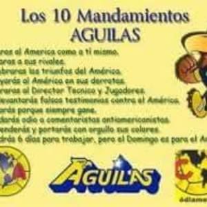 Meet your Posher, Luis felipe